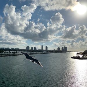 Meet your Posher, Flower